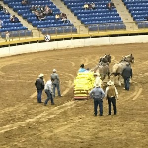 17,800 lbs pull! That is about 3 Tundras worth they pulled. Damn!