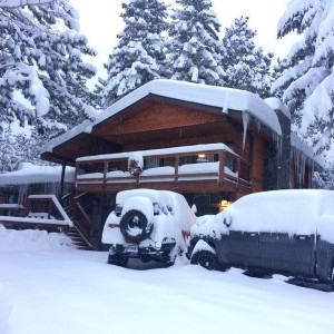 Needless to say...another snow day for the boys.