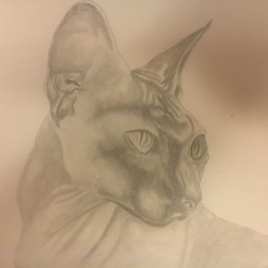 A3