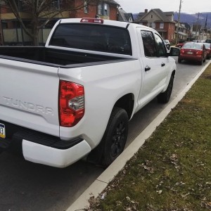 Tundra Rear