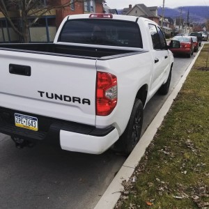 Tundra