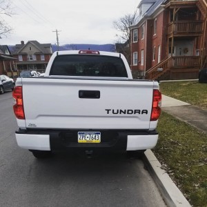 Tundra Tail Inlay