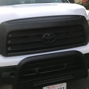 Front Grill Close