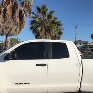 Tints Close Up