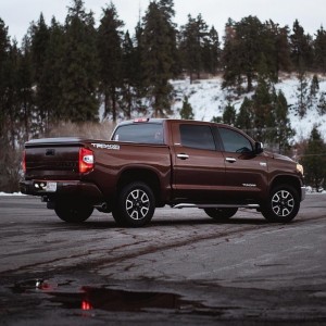 rear shot