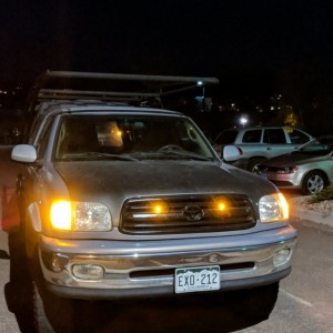 Raptor Lights