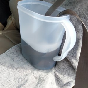 Seatbelt Cleaning