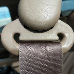 Seatbelt Cleaning
