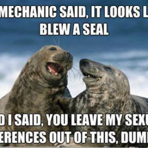 So-the-mechanic-said-it-looks-like-you-blew-a-seal
