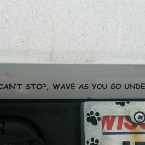 Message: My latest decal. Between the tailgate and bumper :-)