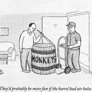 Barrel Of Monkeys