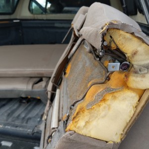 Rear Seat Crossection