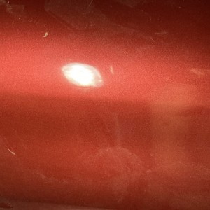 IMG-0239