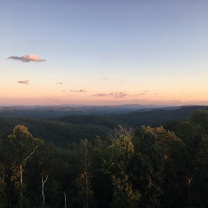 IMG_6277