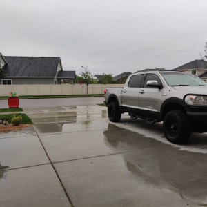 Tundra Rain
