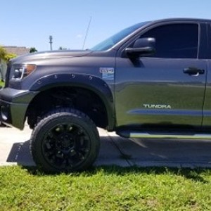 Tundra1