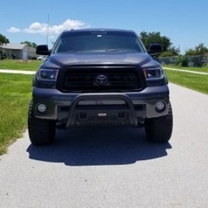 Tundra4