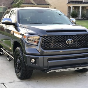 GaFFLe's Tundra Platinum