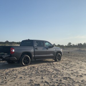 Main