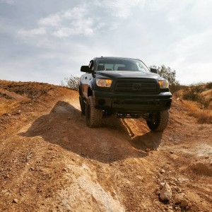 Tundra