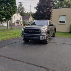 tundra