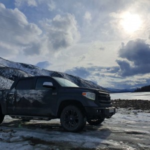 Predator in Yakutia1