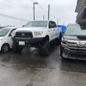 Tundra3