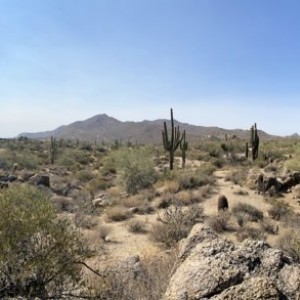 20201017_BulldogPanorama