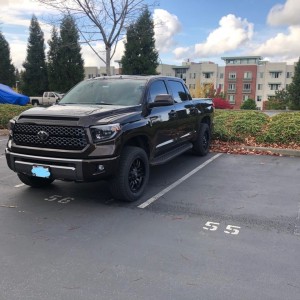 Truck 1_LI
