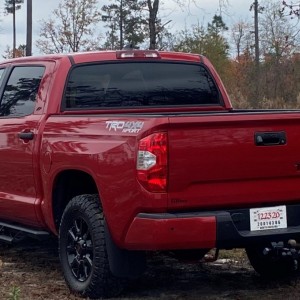 Rear-D