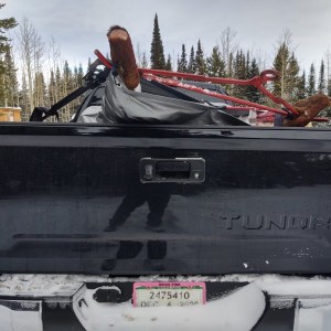 Elk Hunting