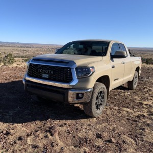 Replaced Limited Grill Insert from mcautoparts