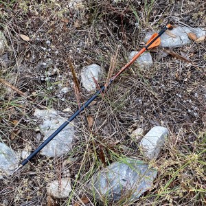 ARROW