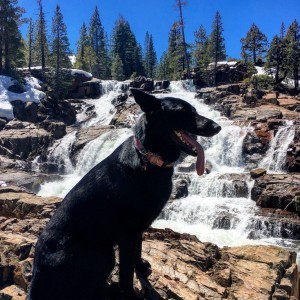 Snowmelt coming down Glen Alpine Falls