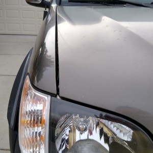 Tundra Hood Passenger Side