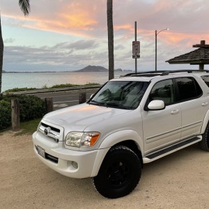 Sequoia 05