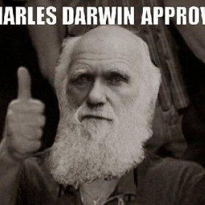 Darwin Approves