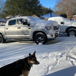 TSS And Taco