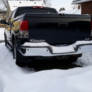 Tundra Back