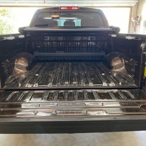 Trunk1