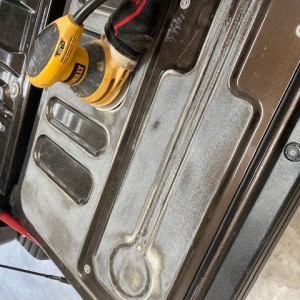 Trunk2