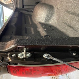 Trunk10