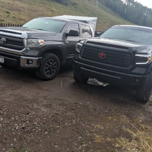 Stance