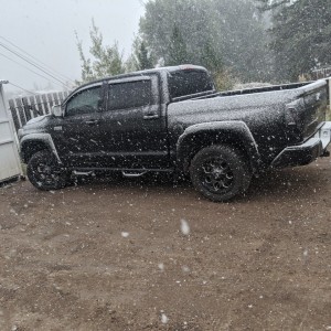 Side Shot Snow
