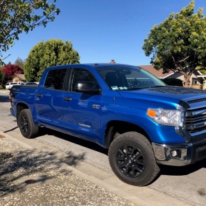 Tundra 1