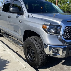 tundra