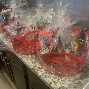 Wife is off for a month for her hysterectomy recovery. Making first responder baskets