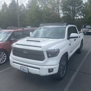 Tundra