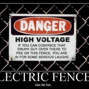 Drunk Guy To Pee On Electric Fence