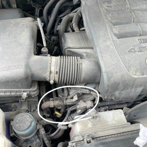 Hose 1